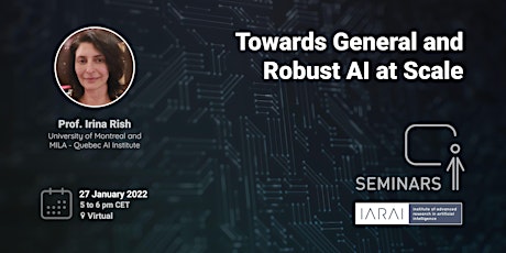 Towards General and Robust AI at Scale tickets