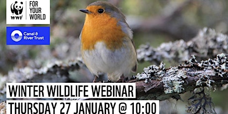 Winter Wildlife with WWF and Canal & River Trust tickets