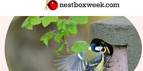YOUNG RANGERS: Nest box building tickets