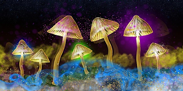 The Science of Psychedelics with Dr. David Luke (Sold Out)