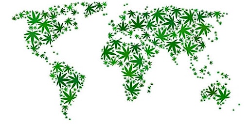 Start your Home-based Hemp business now opening in South Africa!