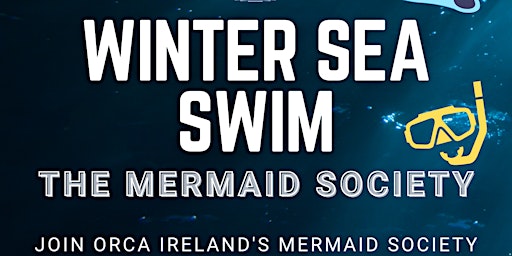 Winter Sea Swim - The Mermaid Society