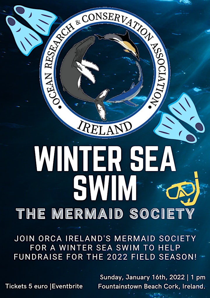 Winter Sea Swim - The Mermaid Society image