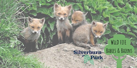 Fox Cubs - Silverburn Park - Session 2 January - Humpback Whales tickets