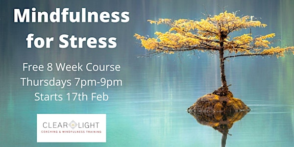 Mindfulness for Stress