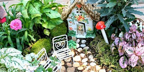 How to make a Container Fairy Garden - Bartow County MG tickets