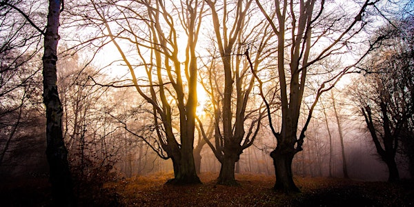 Winter Photography Workshop in Epping Forest