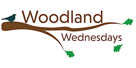 Woodland Management Tips That Pay! tickets
