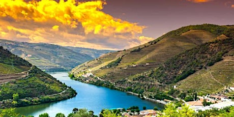 Virtual Douro Valley Wine Tasting with Casa Vila Nova tickets