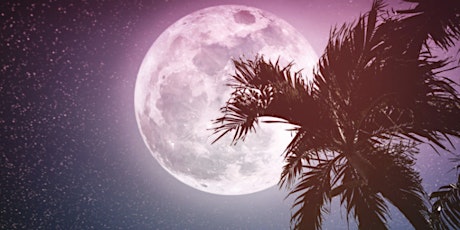 Elevated Vibes Full Moon Yoga ~ Monthly 420 Moonlit Flows tickets