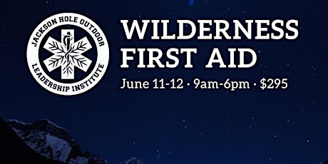 Imagem principal do evento Wilderness First Aid