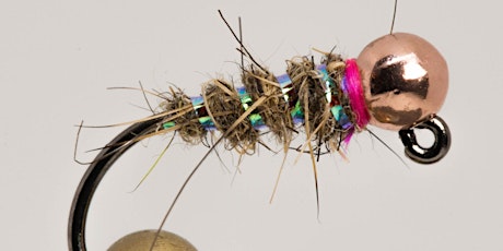 Monday Night Fly Tying - Sexy Walt's Worm primary image