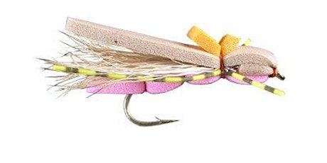Monday Night Fly Tying - Pink Pookie Hopper primary image