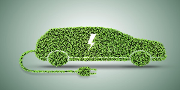 Electric Vehicles Demystified