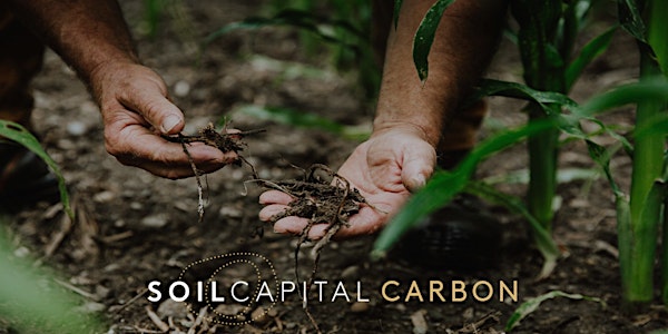 SOIL CAPITAL dans le Cher: Comment bénéficier d'une rémunération carbone?