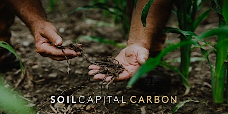 SOIL CAPITAL dans l'Yonne: Comment fonctionne la rémunération carbone ? billets