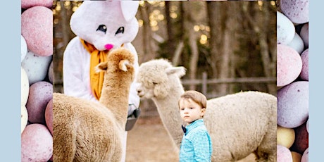 Easter Bunny Visits the Farmette