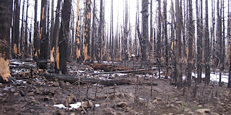 Fire in Our Backyard:  Impacts to Forests and Fish tickets