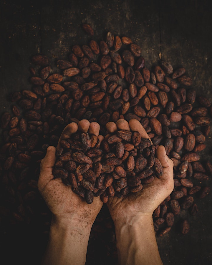 Cacao x Sound Healing Journey: Bild 