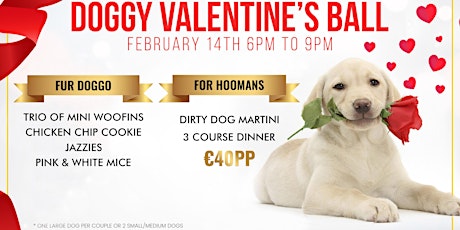 Doggy Valentines Ball at Doyles Corner Phibsborough tickets