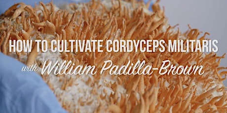 Cordyceps Cultivation Course tickets