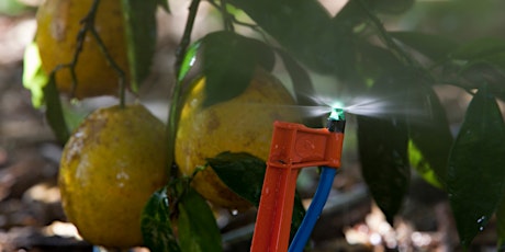 Citrus Irrigation and Nutrient Management Workshop tickets