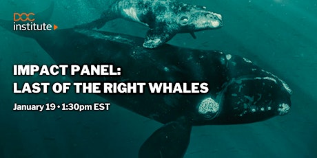 Primaire afbeelding van Impact Panel: Last of the Right Whales