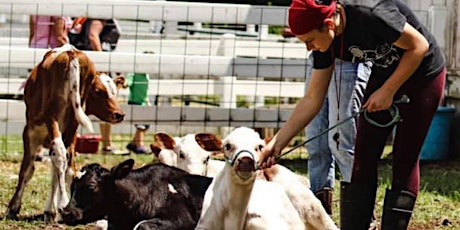 So you want to be a farmer? Adult Farm Camp at Hillside tickets