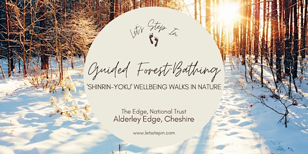 Guided Forest-Bathing Winter Walk
