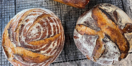 Getting Started with Sourdough tickets