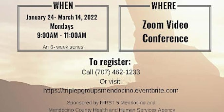 Triple P Stepping Stones -ZOOM Video Conference[Jan 24 - Mar 14, 2021] tickets