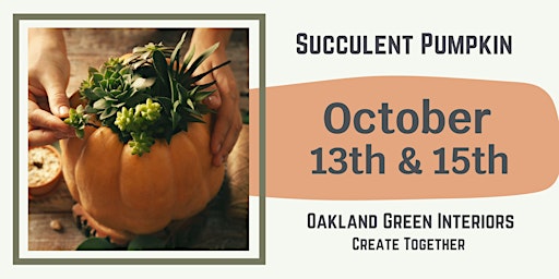 Pumpkin of Succulents - Oct 13th