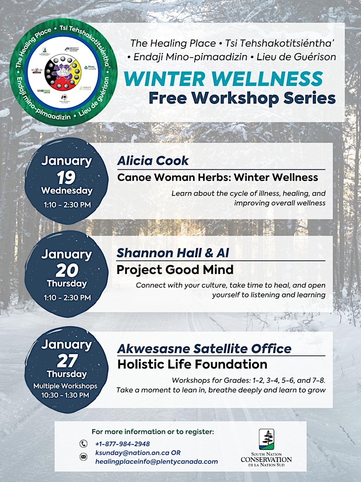 Winter Wellness Series: Group Presentation - Holisitic Life Foundation image