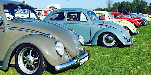 Doncaster VW Festival 2022