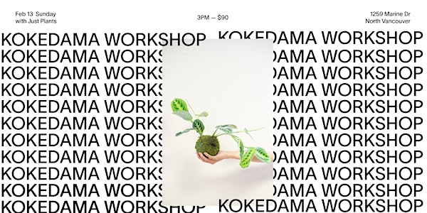 Kokedama Workshop  — Japanese Moss Ball —