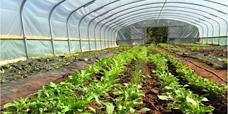 Growing Skills: Enterprise and horticultural training for new growers primary image