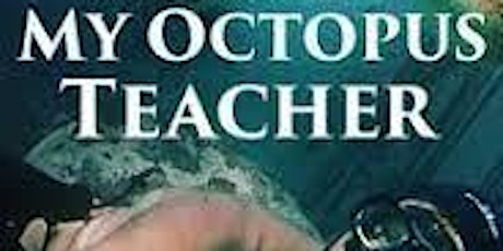 Imagem principal de Restorative Film Series - My Octopus Teacher