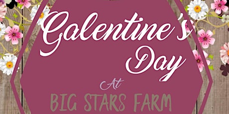 Galentine's Day on the Farm tickets