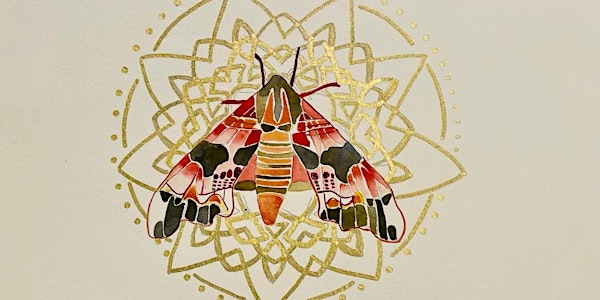 watercolour workshop - moth and mandala