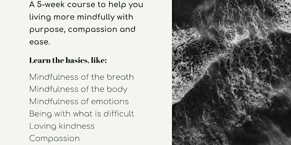 5 week Mindfulness Meditation Course