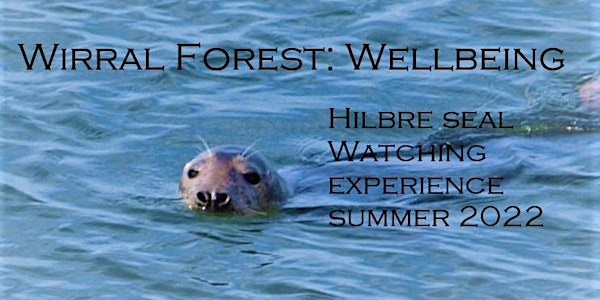 Hilbre Seal Watching Experience Summer 2022