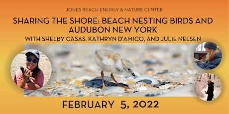 Sharing the Shore:  Beach Nesting Birds and Audubon New York entradas