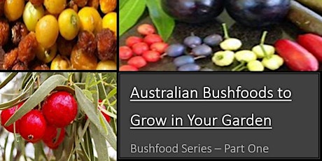 Australian Bush Foods to Grow in Your Garden - Part 1 tickets
