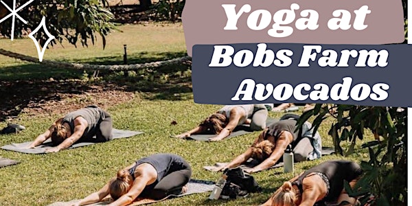 Yoga at Bobs Farm Avocados