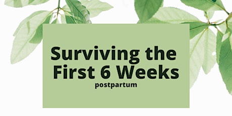 Surviving the First 6 Weeks tickets