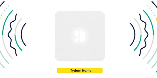 Formazione Tydom Home