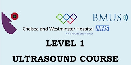Chelsea and Westminster Level one course tickets