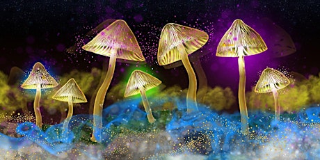 The Science of Psychedelics with Dr. David Luke tickets