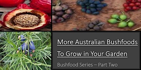 More Australian Bush Foods to Grow  -  Part 2 tickets