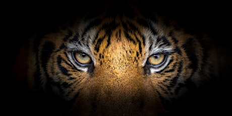 SOLD OUT! -- ONLINE: ***EVENING***  New Moon Healing Circle (Year of Tiger) tickets
